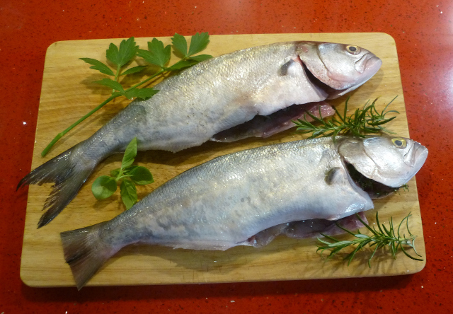 Blaufisch